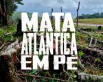 Em Pernambuco, os hectares embargados equivalem a mais de 660 campos de futebol. 
Imagem: MPPE