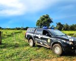 Foto: Assessoria | Polícia Civil-MT