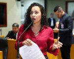 Medida assegura o direito fundamental à saúde, avalia Camila Valadão / Foto: Kamyla Passos